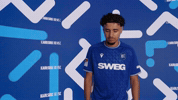 2 Bundesliga Goal GIF by Karlsruher SC