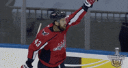 Ice Hockey Sport GIF by NHL