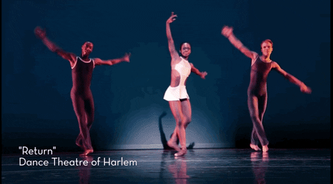 abaker900 giphyupload GIF