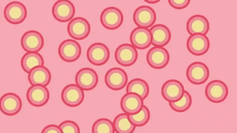 carynasherson giphygifmaker liquid states of matter GIF