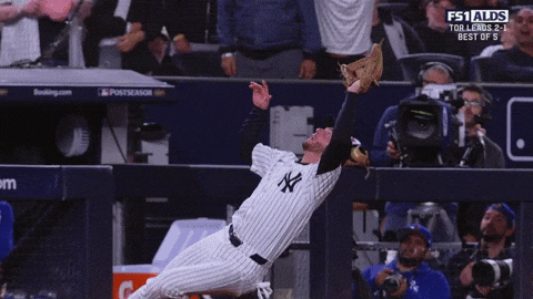 New York Yankees Sport GIF by MLB