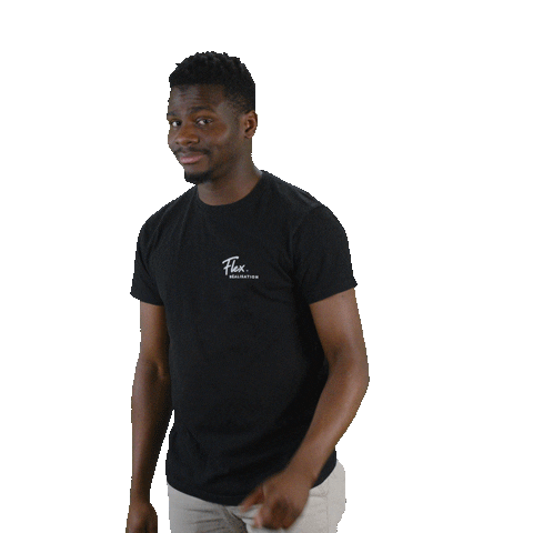 flex_realisation giphyupload flex godwin flex réalisation Sticker