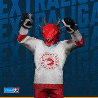 Hockey Hokej GIF by Tipsport extraliga