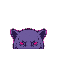 Slg Sticker by Greek Swag Pack