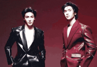 Idol Wow GIF