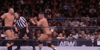 All Elite Wrestling GIF by AEWonTV