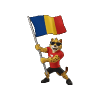 Romania Sticker by Padbol official