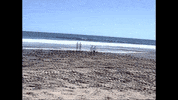 The Best Is Yet To Come Sisters GIF by Hunter Daily