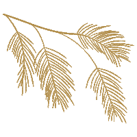 Christmas Holiday Sticker by The Daily Grace Co.