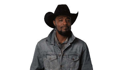 Cowboy Sticker by INSP