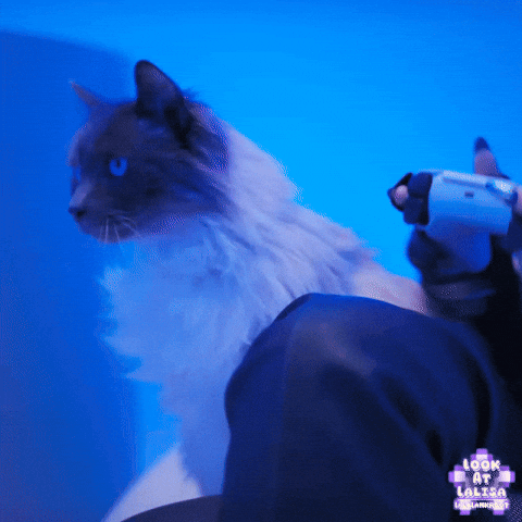 Alter Ego Gamer GIF