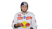 Sport Fun Sticker by EC Red Bull Salzburg