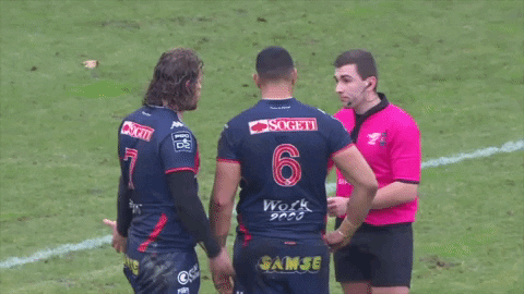 fc grenoble referee GIF by FCG Rugby