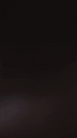 West Brom Price GIF by West Bromwich Albion