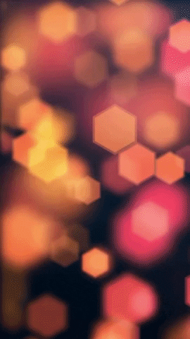 alejandravega17fb giphyupload GIF