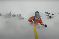 GIF by Odell Brewing Company