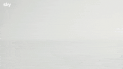 Dog Cane GIF by Sky Italia