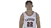 Basketball College Sticker by Carson-Newman Athletics