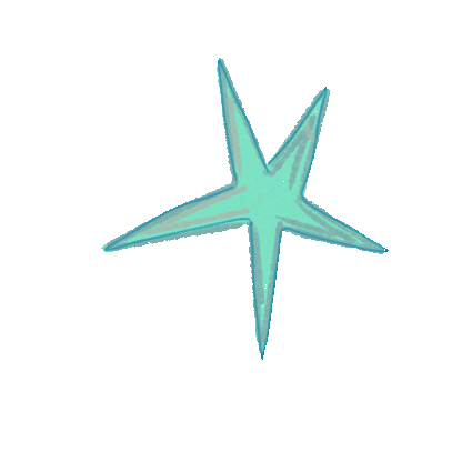 Star Sticker