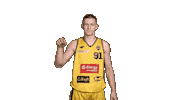 Basketball Koszykowka Sticker by Trefl Sopot