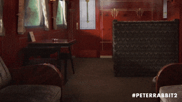 Don't Stare at the Scenery