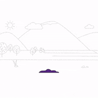 United Nations Un GIF by FAO