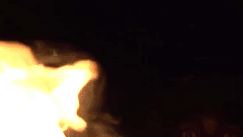 chippi chippi GIF by sheckwes