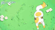 Adventure Time Fionna And Cake GIF by Cartoon Network