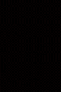 Leedanis Ortiz GIF