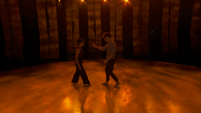 fox GIF by So You Think You Can Dance