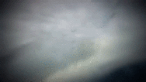 discovery channel shark GIF by Discovery Europe
