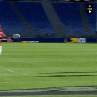 Wales Rugby GIF by Guinness Six Nations