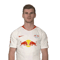 Happy Rb Leipzig Sticker by Bundesliga
