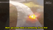 original video news GIF