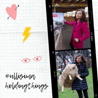 ulli_sima things holding spoe spoewien GIF