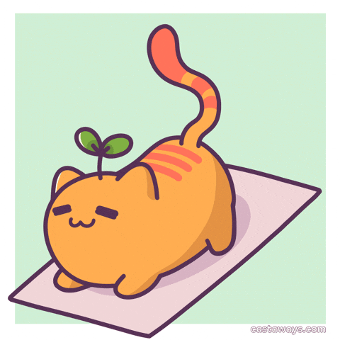 Downward Dog Cat GIF by Castaways