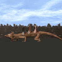 wtf confused GIF by Cool 3D World