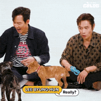 Lee Jung Jae Puppy GIF by BuzzFeed