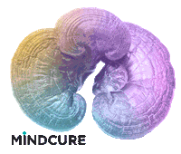 Mental Health Mind Sticker by MINDCURE