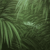 Life Eats Life GIF by Nature Is Metal