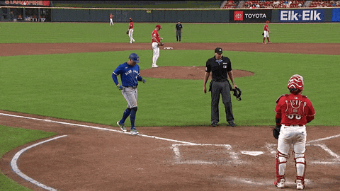 Home Run Homer GIF by Toronto Blue Jays