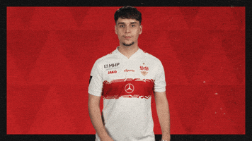 Vfb Stuttgart Football GIF by Bundesliga