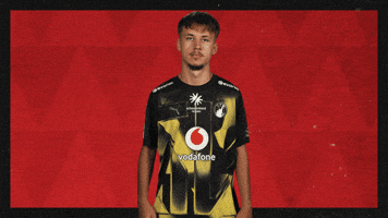 Borussia Dortmund Football GIF by Bundesliga