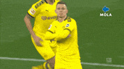 Happy Thorgan Hazard GIF by MolaTV