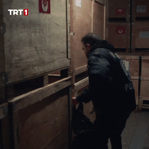Police Dog What GIF by TRT