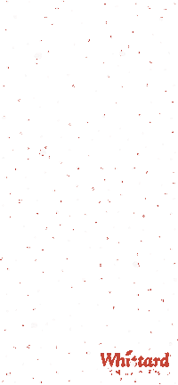 Let It Snow Logo Sticker by Whittard CZ