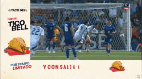 Costa Rica La Sele GIF by TD Más
