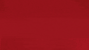 Happy Bayern Munich GIF by Bundesliga
