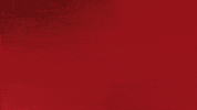 Happy Bayern Munich GIF by Bundesliga