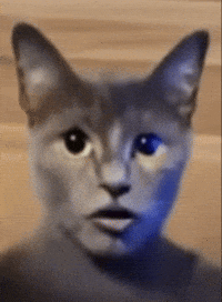 Catai GIF